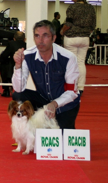 Guss des elfes de la masure